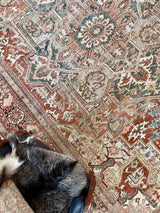 antique Persian rug at Woven Kin Home