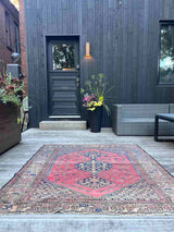 Antique Persian area rug with berry field and large medallions laying on the ground with plants
