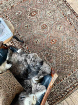 Vintage Persian Hand-knotted Area Rug at Woven Kin Home