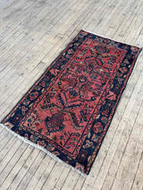 Vintage Persian area rug botanical motifs, a berry field, and blue border