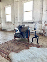 Antique Persian Area Rug Sustainable Luxury Home Decor