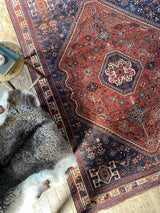 Antique Persian Area Rug