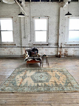 antique Persian area rug