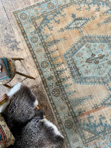 antique Persian area rug