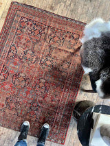 Vintage Persian area rug