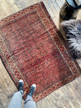 Vintage Persian area rug