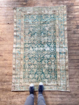 antique Persian area rug