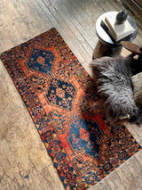 Vintage Persian area rug
