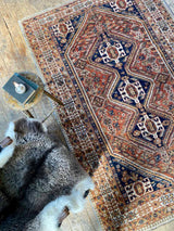 antique Persian area rug