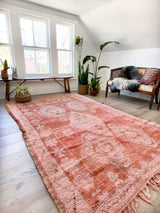 Salima // 9'6" x 6' - Vintage Rug at Petrichor Vintage Co.
