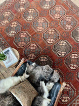 Antique Ersari Hand-knotted Area Rug Sustainable Home Decor at Woven Kin Home