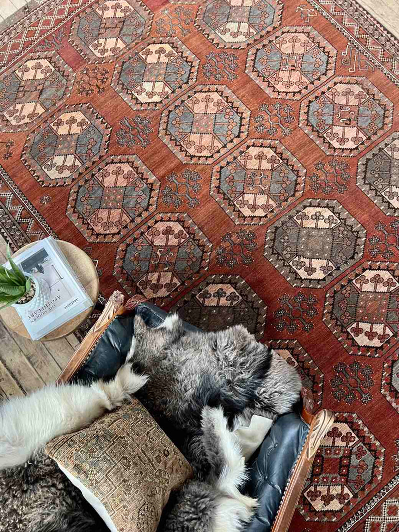 Antique Ersari Hand-knotted Area Rug Sustainable Home Decor at Woven Kin Home