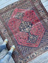 Antique Persian area rug  with berry field and large medallions